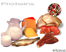 Protein