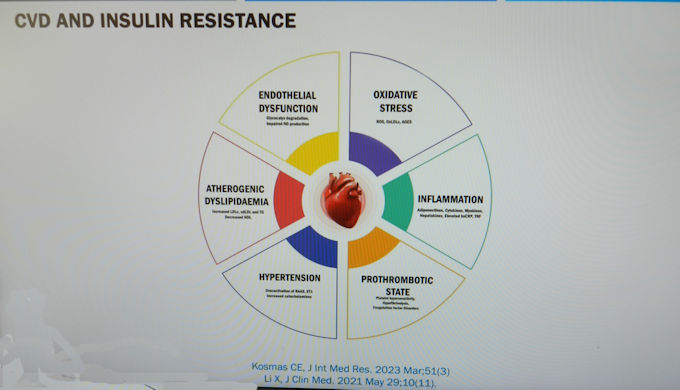 Insulin Resistance adverse effects