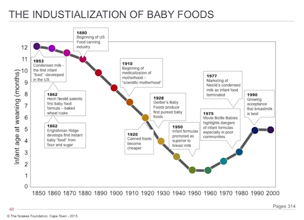 Baby Food Chart